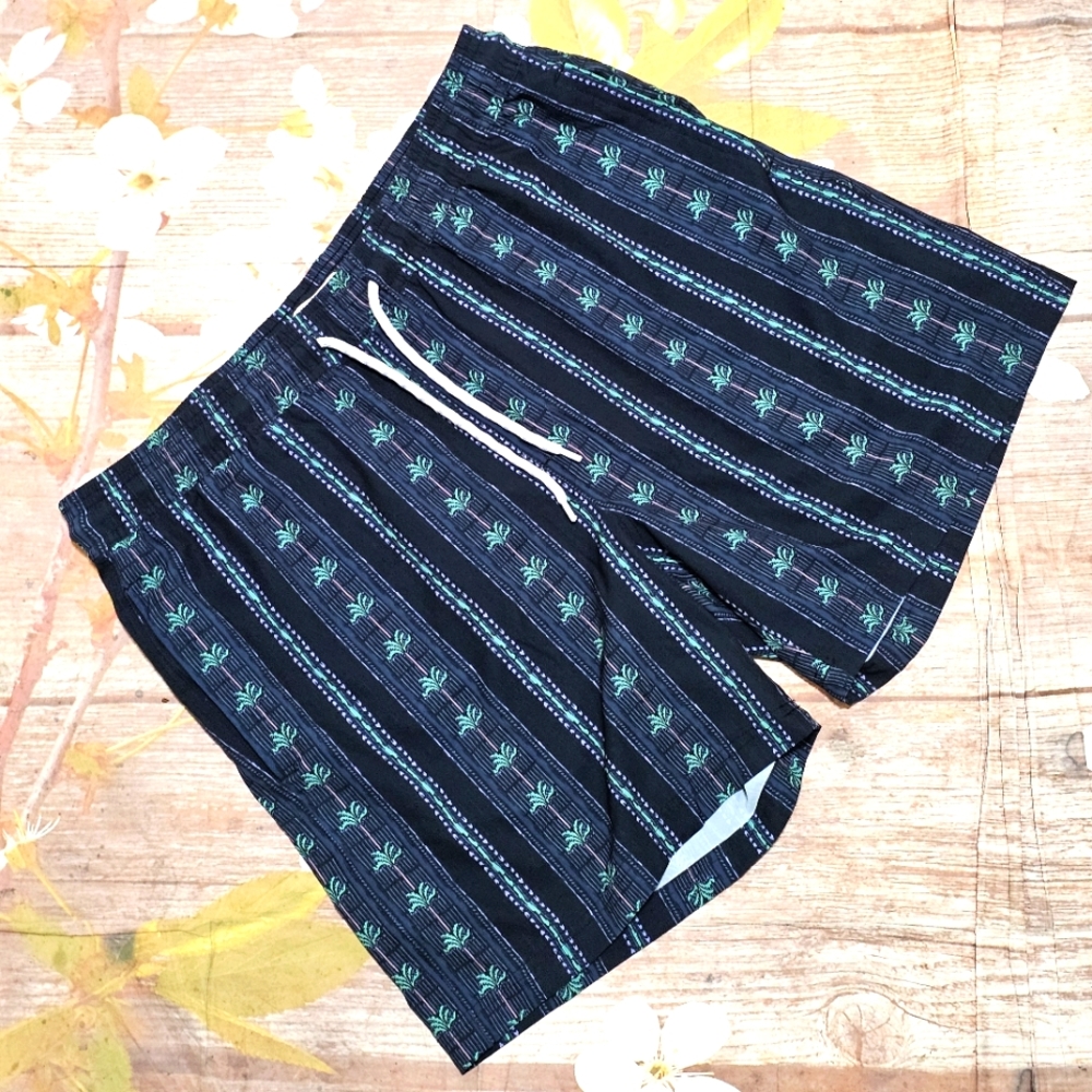Trinity Coast Striped Black and Green Swim Shorts